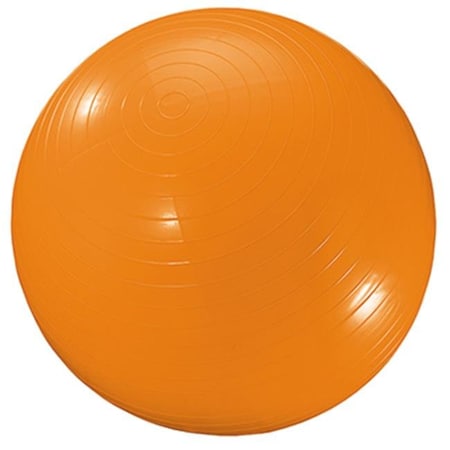 Dick Martin Sports Dick Martin Sports Masgym34 Exercise Ball 34In Orange MASGYM34